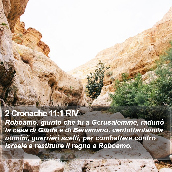 2 Cronache 11:1 RIV Bible Study