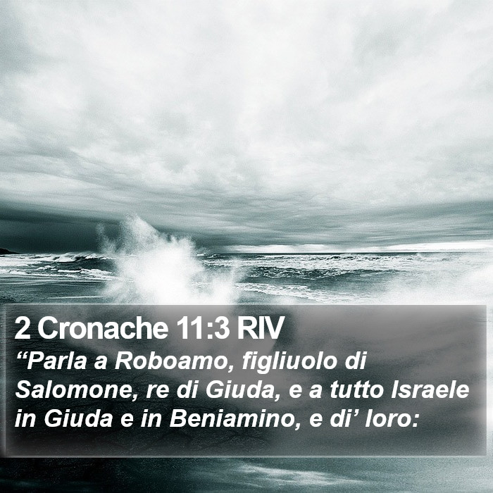 2 Cronache 11:3 RIV Bible Study