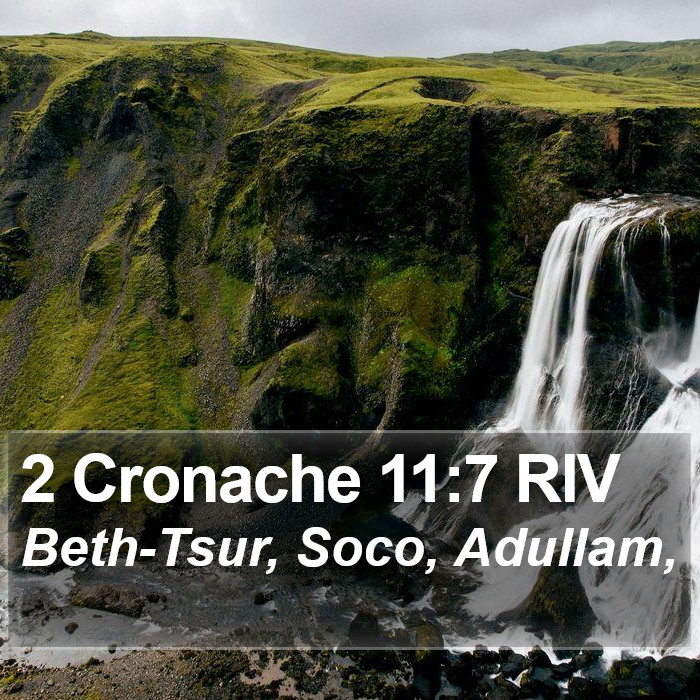 2 Cronache 11:7 RIV Bible Study