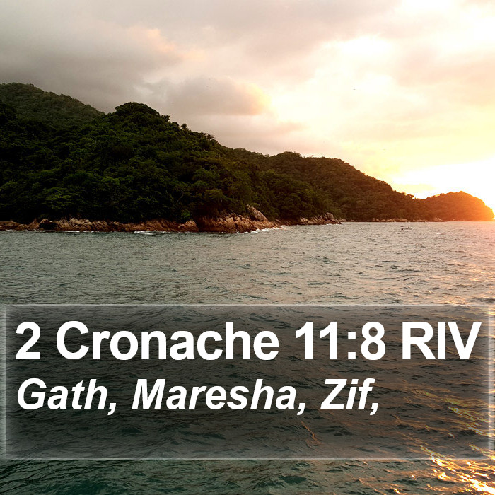 2 Cronache 11:8 RIV Bible Study