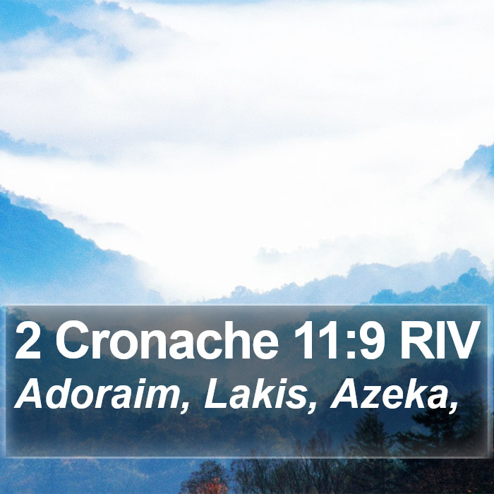 2 Cronache 11:9 RIV Bible Study