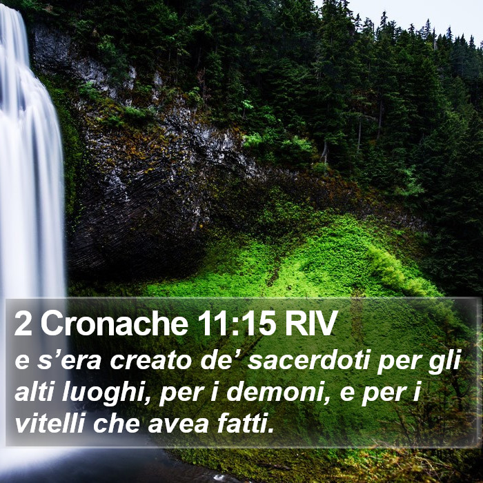 2 Cronache 11:15 RIV Bible Study