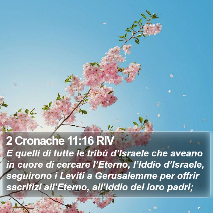 2 Cronache 11:16 RIV Bible Study