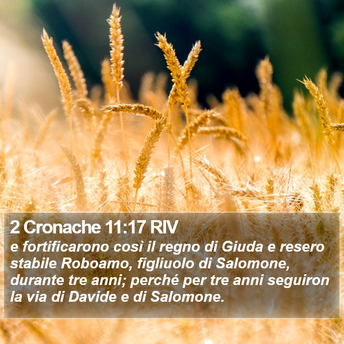 2 Cronache 11:17 RIV Bible Study