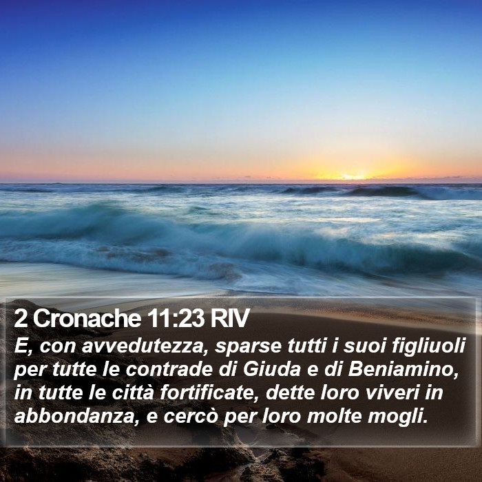 2 Cronache 11:23 RIV Bible Study