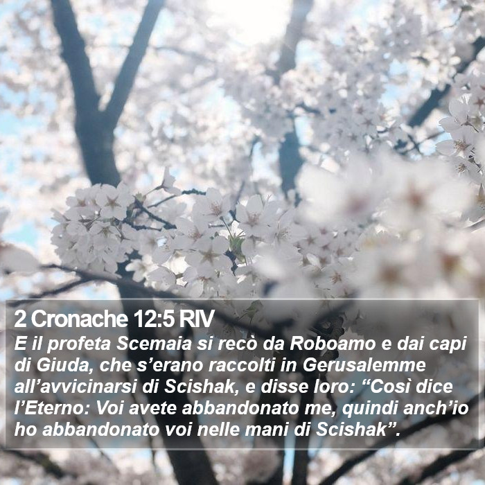 2 Cronache 12:5 RIV Bible Study