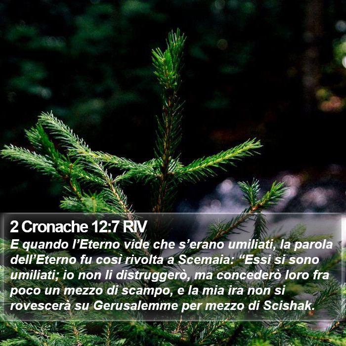 2 Cronache 12:7 RIV Bible Study