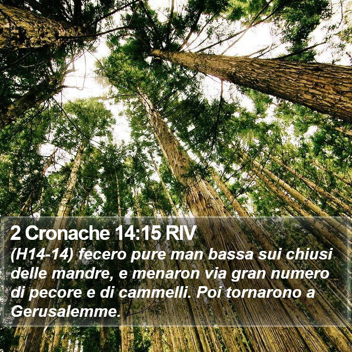 2 Cronache 14:15 RIV Bible Study