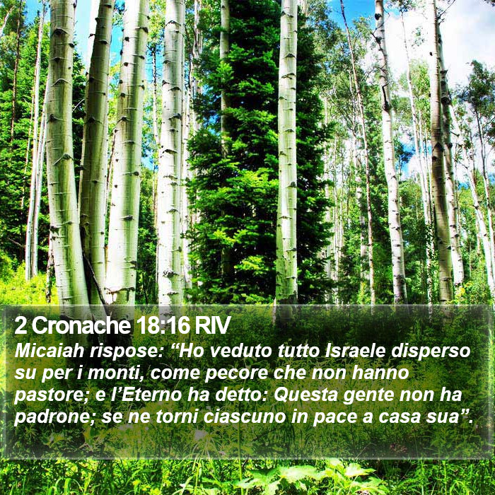 2 Cronache 18:16 RIV Bible Study