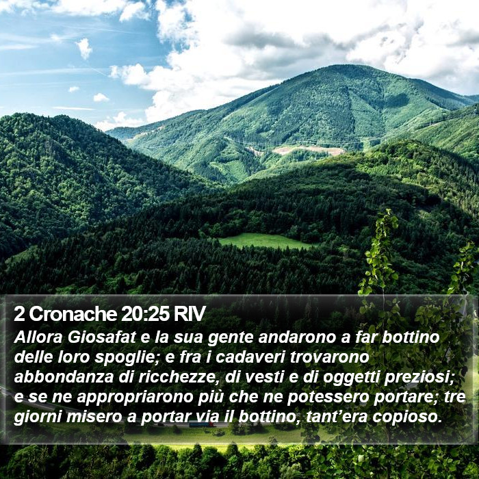 2 Cronache 20:25 RIV Bible Study