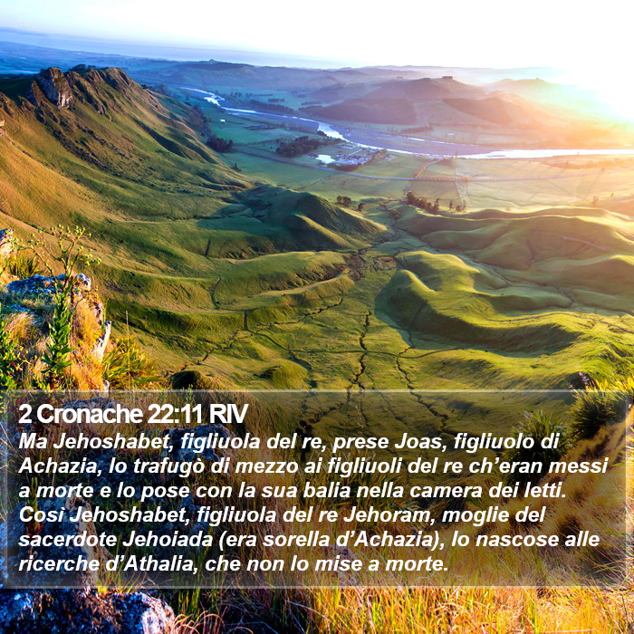 2 Cronache 22:11 RIV Bible Study