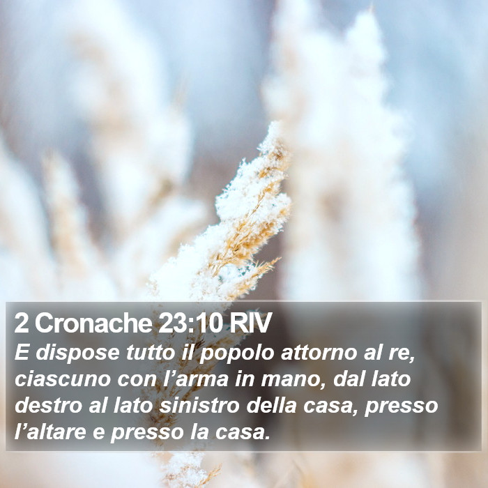 2 Cronache 23:10 RIV Bible Study