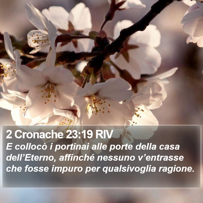 2 Cronache 23:19 RIV Bible Study