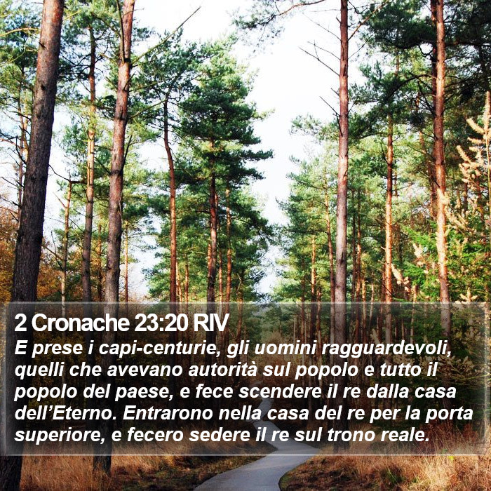 2 Cronache 23:20 RIV Bible Study