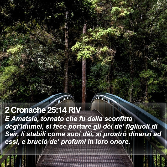 2 Cronache 25:14 RIV Bible Study