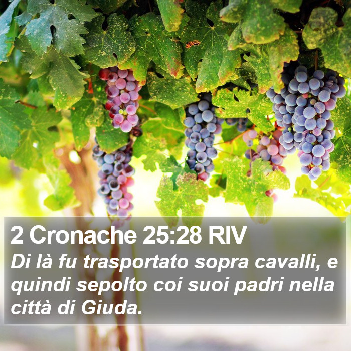 2 Cronache 25:28 RIV Bible Study