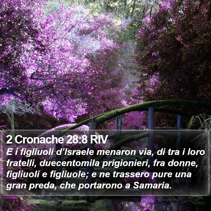 2 Cronache 28:8 RIV Bible Study