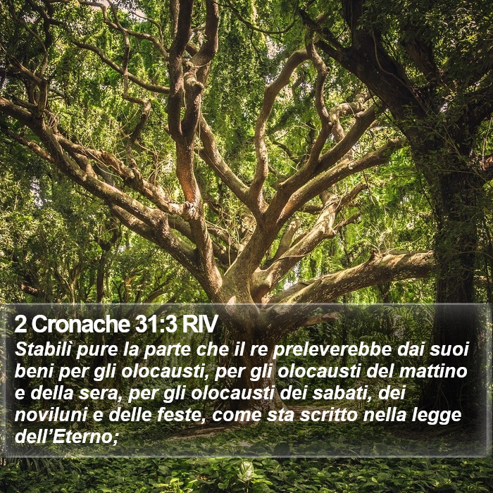 2 Cronache 31:3 RIV Bible Study