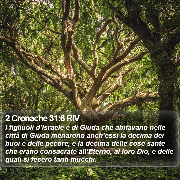 2 Cronache 31:6 RIV Bible Study