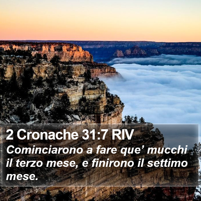 2 Cronache 31:7 RIV Bible Study