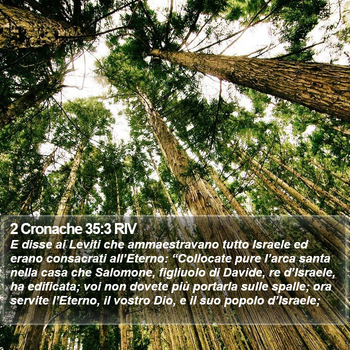 2 Cronache 35:3 RIV Bible Study