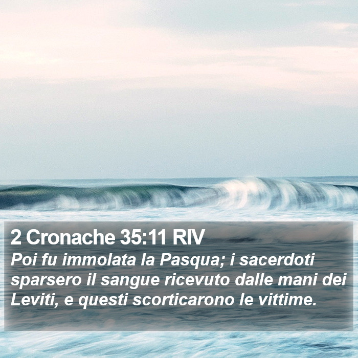 2 Cronache 35:11 RIV Bible Study