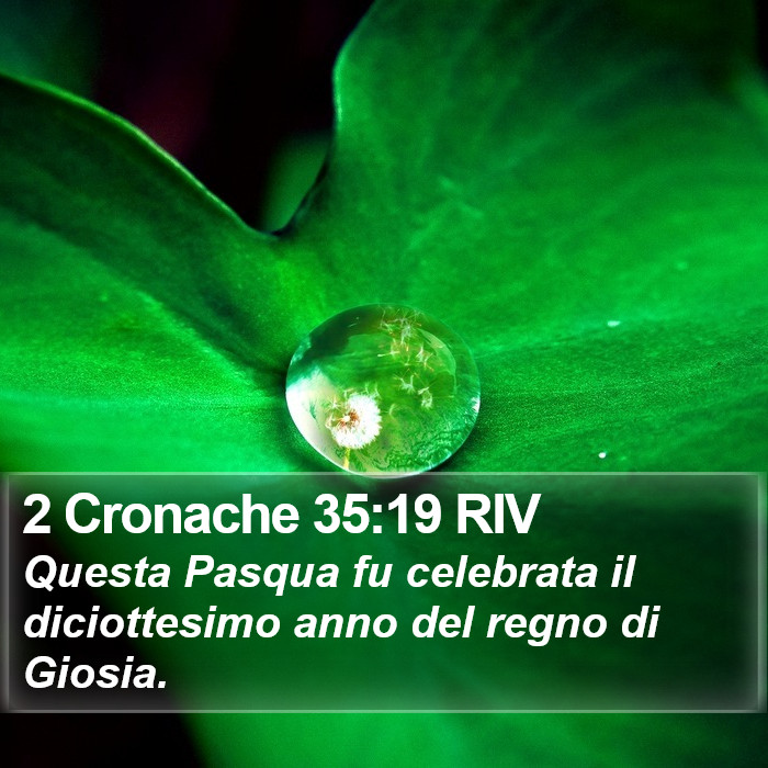 2 Cronache 35:19 RIV Bible Study