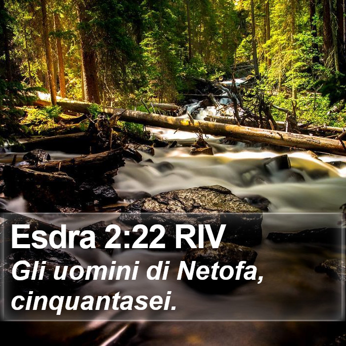 Esdra 2:22 RIV Bible Study