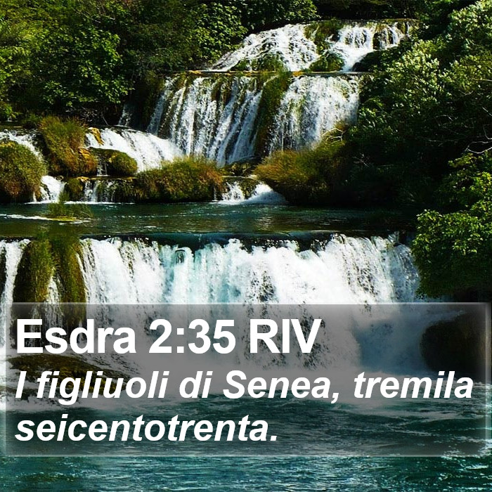 Esdra 2:35 RIV Bible Study