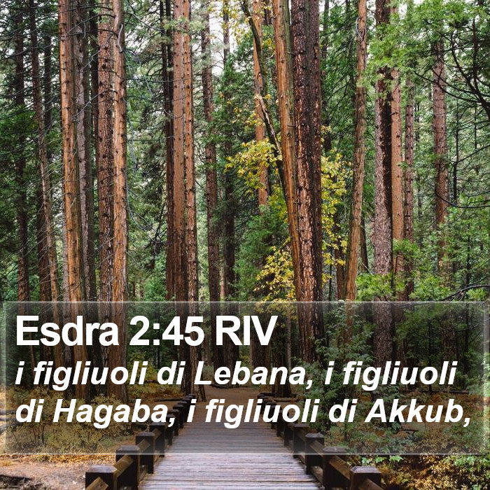 Esdra 2:45 RIV Bible Study