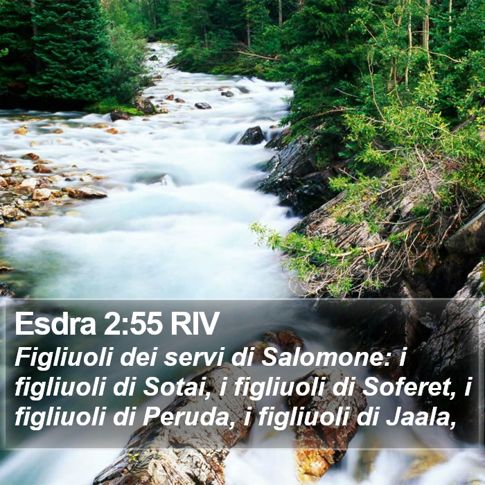 Esdra 2:55 RIV Bible Study