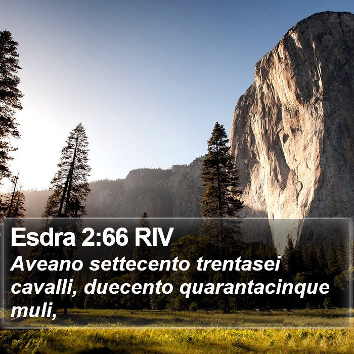 Esdra 2:66 RIV Bible Study