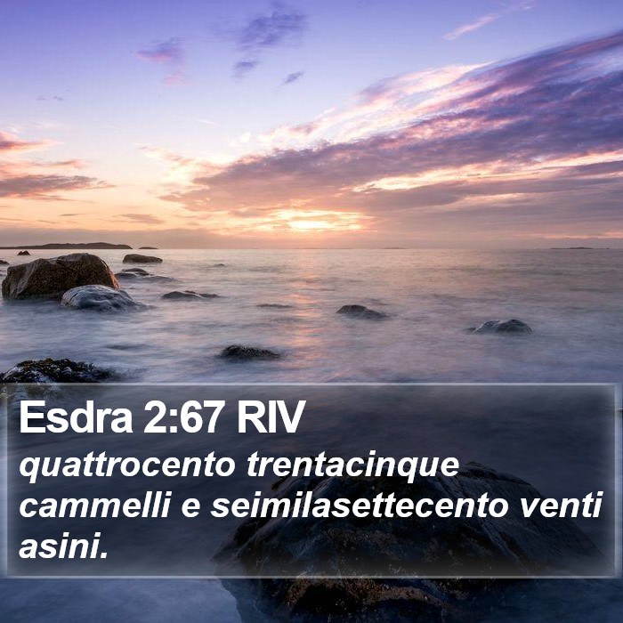 Esdra 2:67 RIV Bible Study