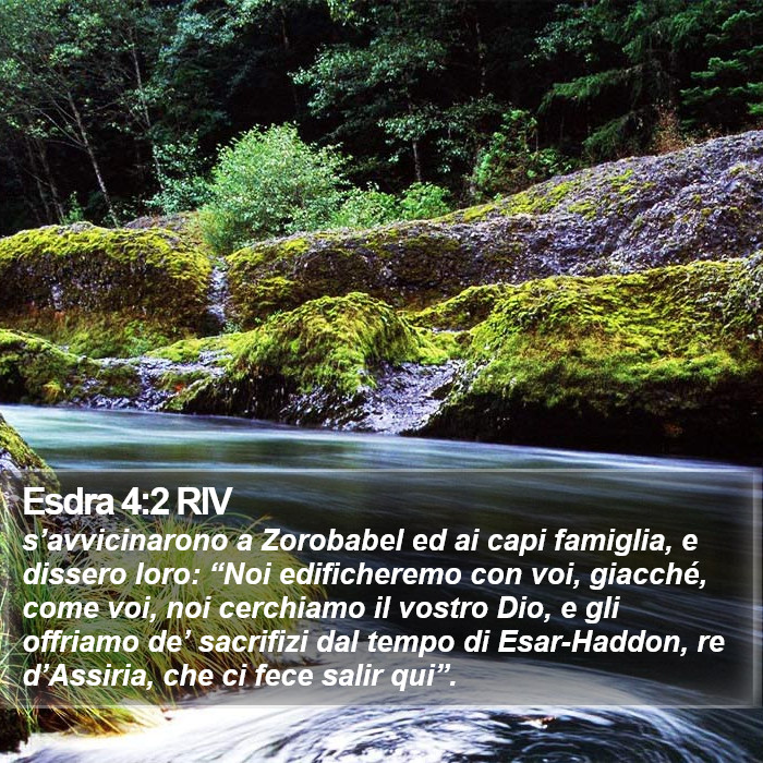 Esdra 4:2 RIV Bible Study