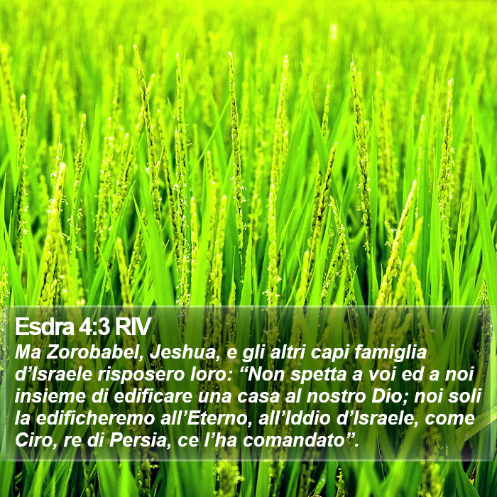 Esdra 4:3 RIV Bible Study