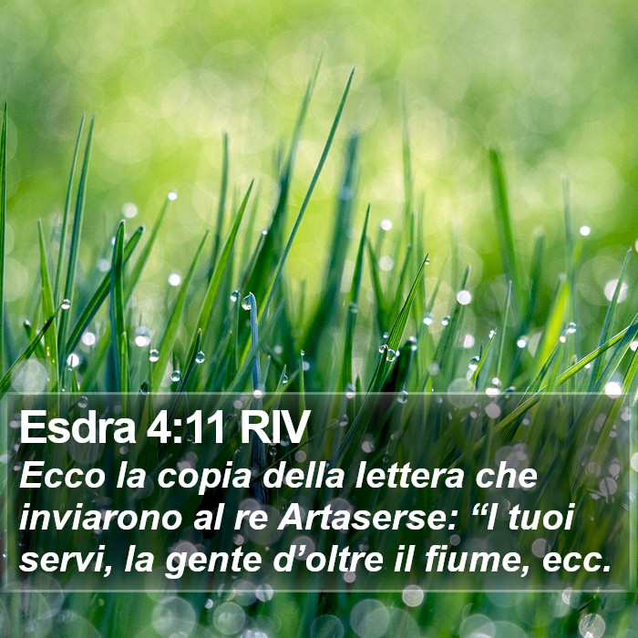 Esdra 4:11 RIV Bible Study