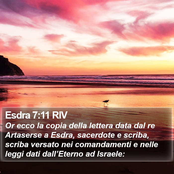 Esdra 7:11 RIV Bible Study