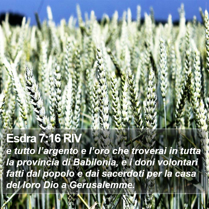 Esdra 7:16 RIV Bible Study