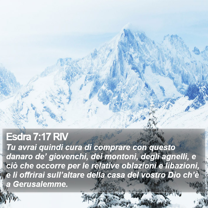 Esdra 7:17 RIV Bible Study