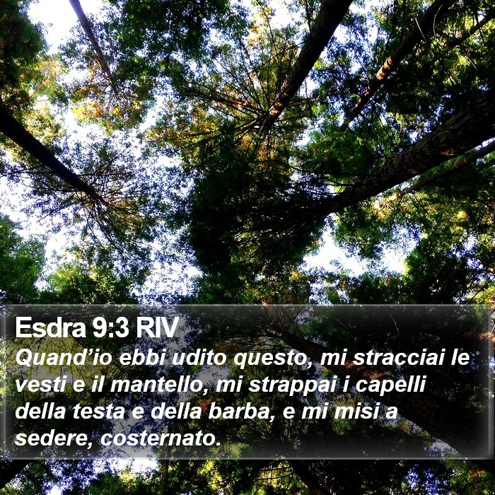 Esdra 9:3 RIV Bible Study