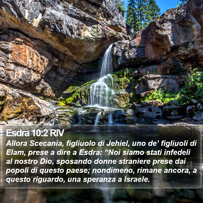 Esdra 10:2 RIV Bible Study