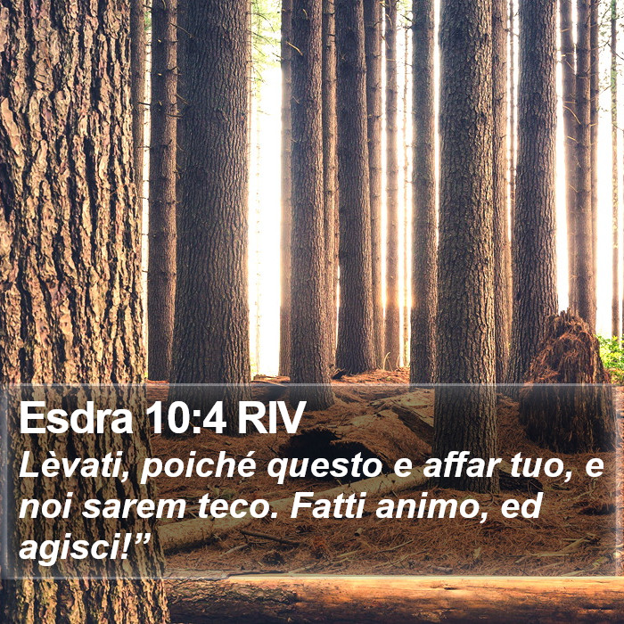Esdra 10:4 RIV Bible Study