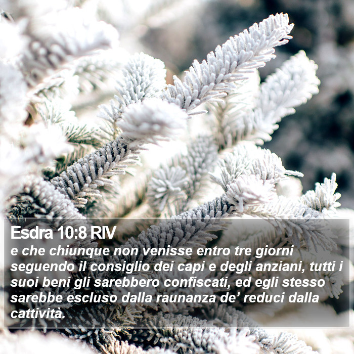 Esdra 10:8 RIV Bible Study