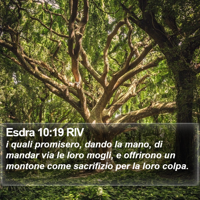 Esdra 10:19 RIV Bible Study
