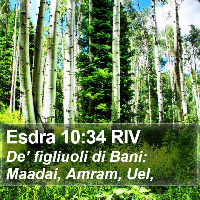 Esdra 10:34 RIV Bible Study