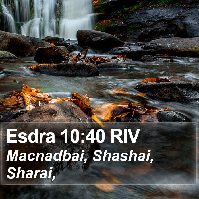 Esdra 10:40 RIV Bible Study