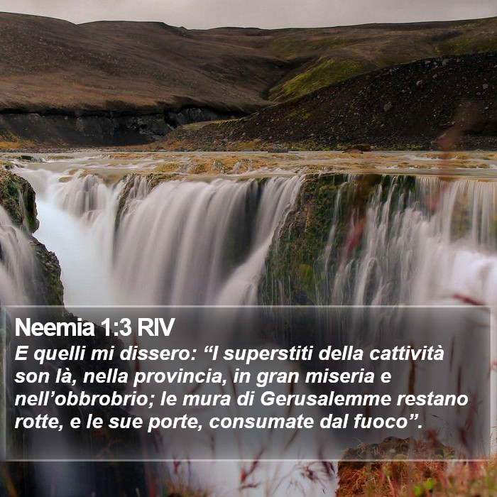 Neemia 1:3 RIV Bible Study