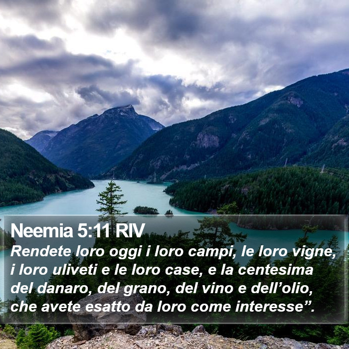 Neemia 5:11 RIV Bible Study