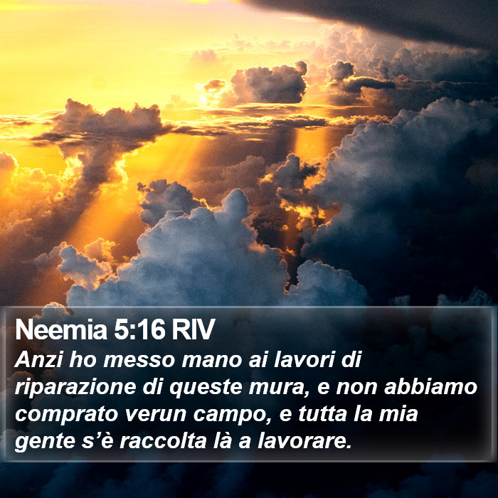 Neemia 5:16 RIV Bible Study