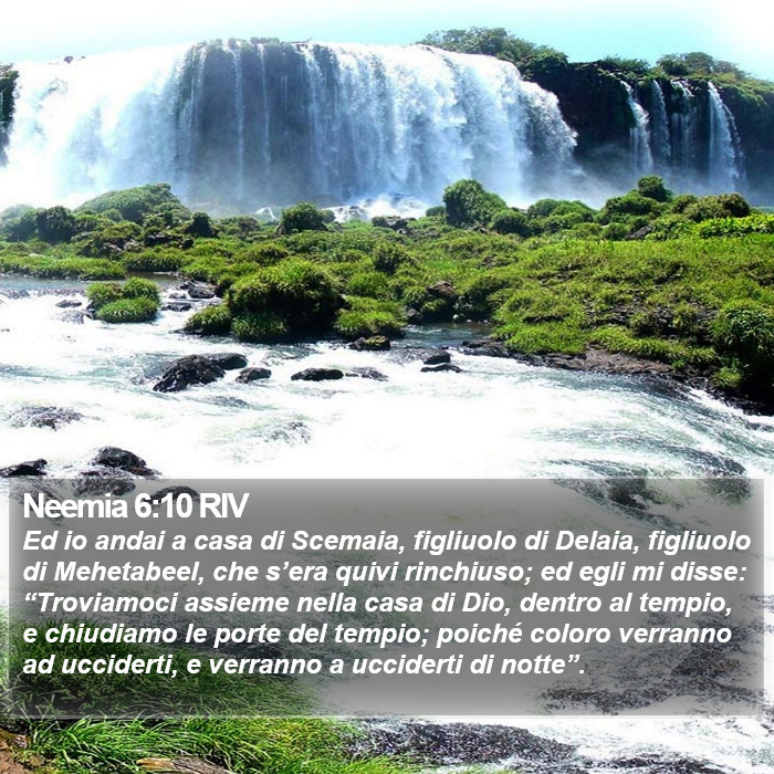 Neemia 6:10 RIV Bible Study